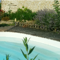Conseil Feng Shui : intégrer une piscine dans son jardin.