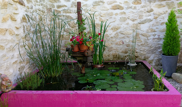bassin de jardin feng shui